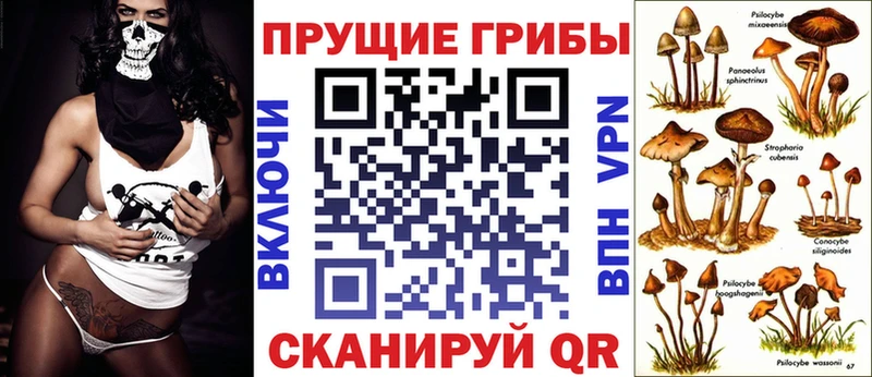 Псилоцибиновые грибы Psilocybine cubensis  что такое   Северск 